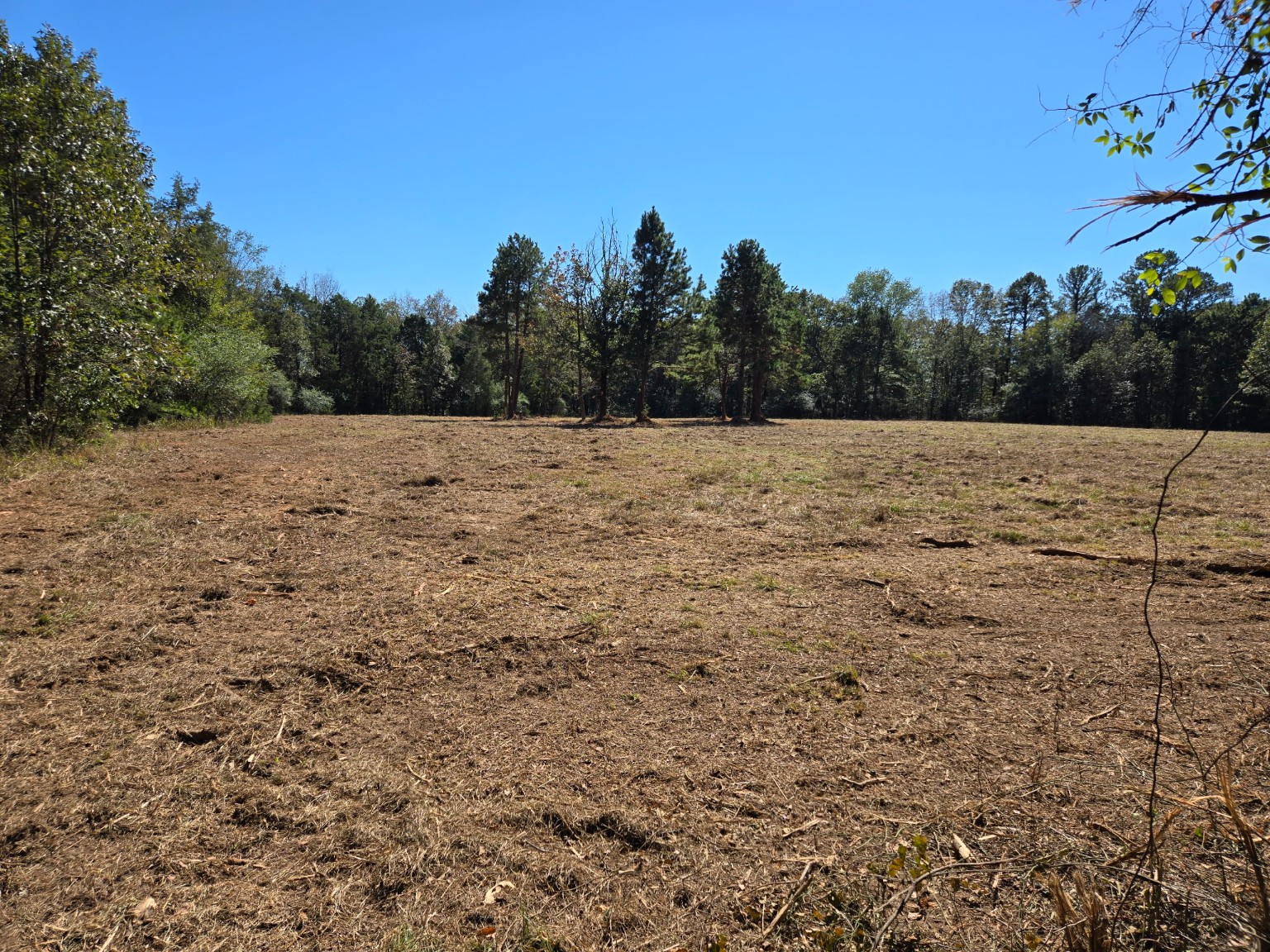 Actual wide aerial photograph of the property's open pasture, provided as the source for the visitor’s own visualization