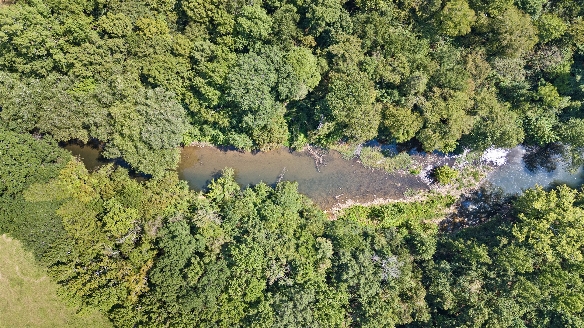 Overhead photograph of the creek winding between wooded banks