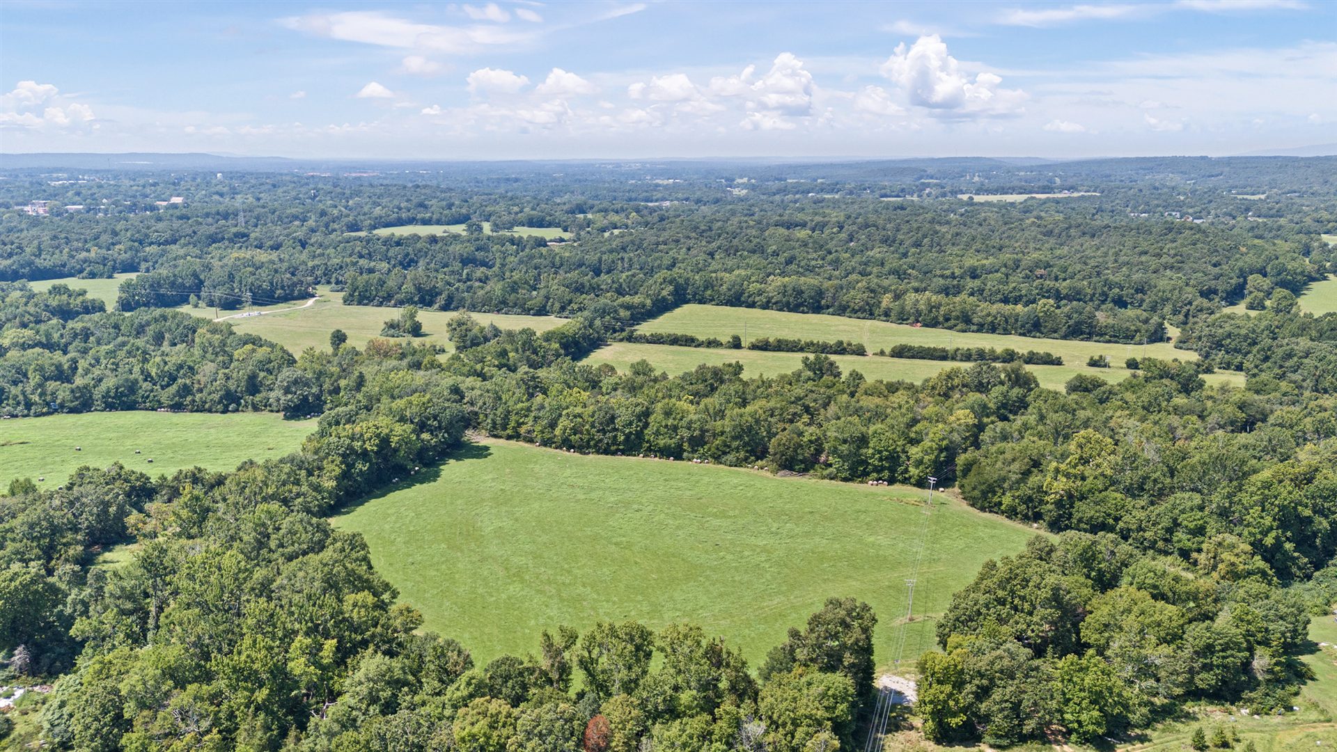 Wide aerial view of the property's open green pasture and wooded landscape stretching toward the Arkansas hills
